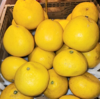 3月3日のおすすめ！『パール柑』