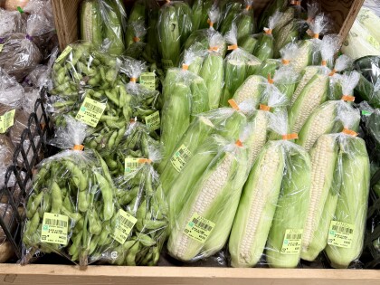 7月5日のおすすめ!古木農園さんの野菜