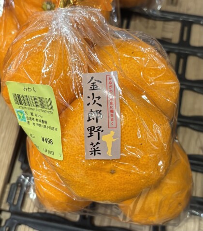 1月31日のおすすめ！『みかん』