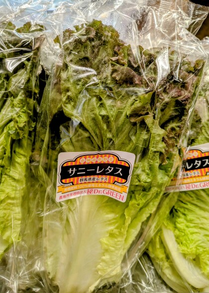 6月20日のおすすめ！赤城高原『サニーレタス』