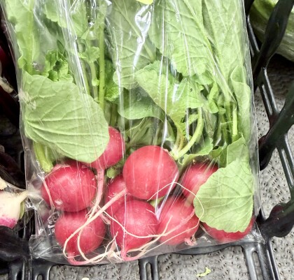 4月28日のおすすめ！はつか大根『ラディッシュ』