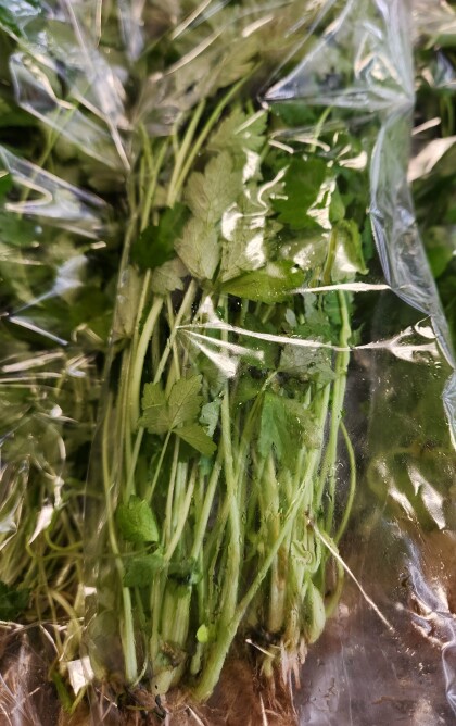 12月30日のおすすめ！年末年始の準備に『三つ葉』