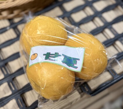 4月10日のおすすめ!『甘夏みかん』