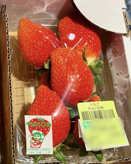 2月11日のおすすめ！いちご『やよいひめ』