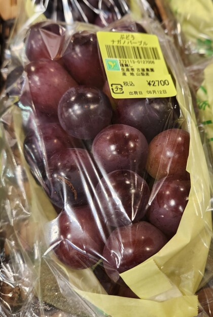 8月13日のおすすめ！古屋農園 ぶどう🍇『ナガノパープル』