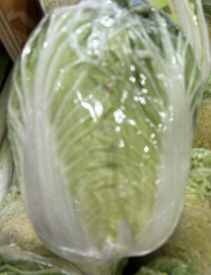 4月22日のおすすめ！『春白菜』