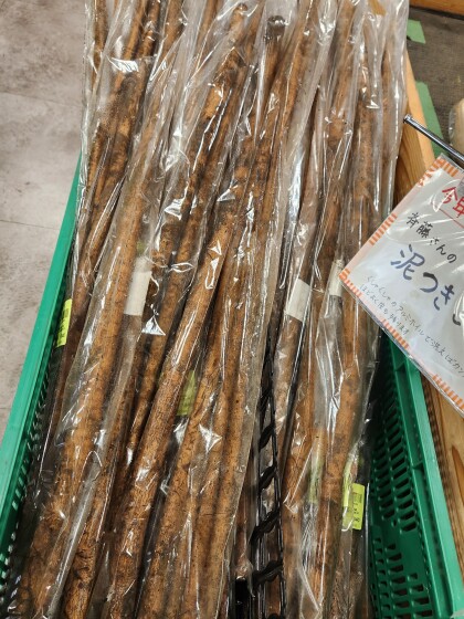 12月4日のおすすめ『ごぼう』