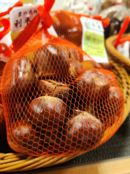 9月24日のおすすめ！栗の王様🌰『利平栗』🌰