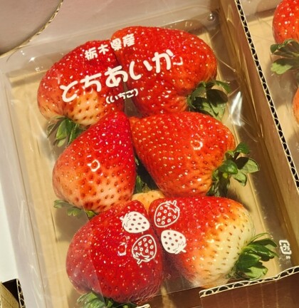 2月8日のおすすめ！いちご『とちあいか』