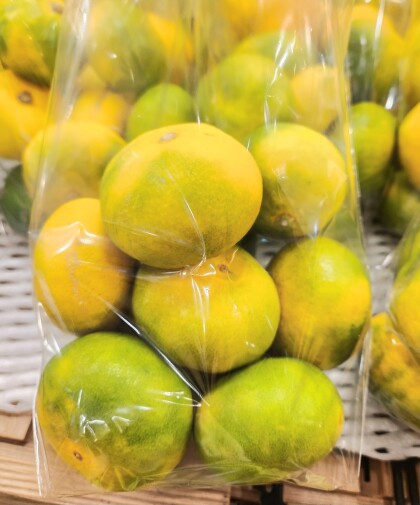 9月22日のおすすめ!『熊本みかん』🍊
