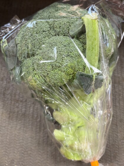 2月25日のおすすめ!古木農園さんの「ブロッコリー」