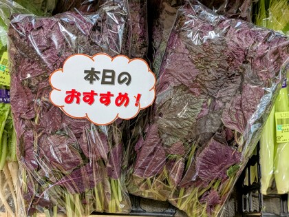 5月30日のおすすめ！しそ『ちりめん赤しそ』