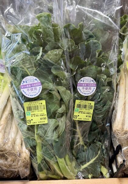 2月7日のおすすめ！ファーム片山さんの「ブロッコリーの葉」