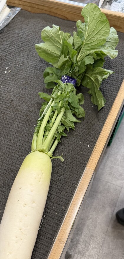 11月10日のおすすめ!春ちゃん農園の『葉つき大根』