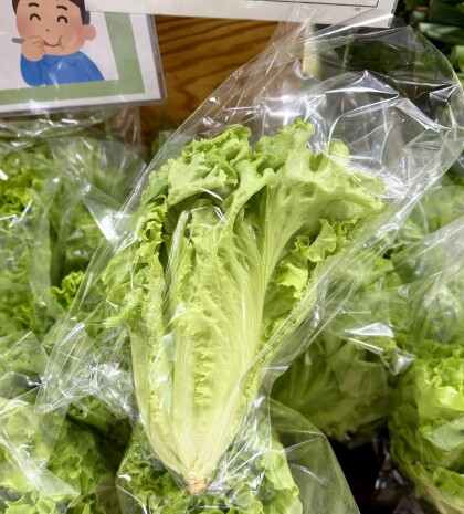 3月21日のおすすめ！『切り花』