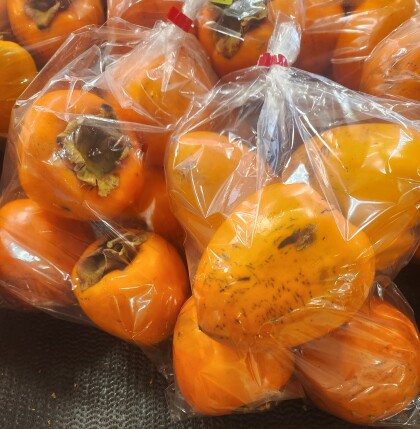 11月21日のおすすめ!『百目柿(渋柿)』