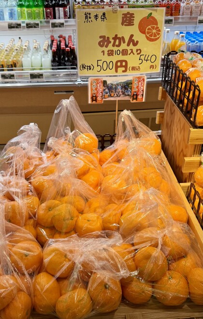 1月17日のおすすめ！大きな3Ｌサイズ！『熊本みかん』