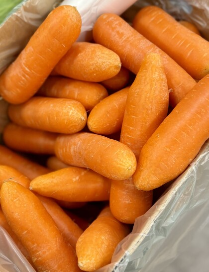 2月16日のおすすめ！北海道産『たまねぎ』と『にんじん』