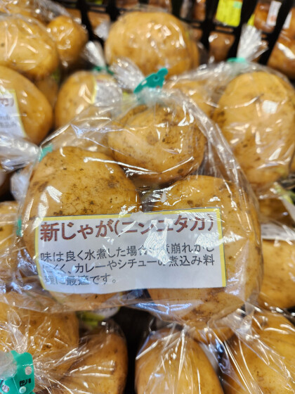 4月8日のおすすめ!🥔新じゃがいも🥔『ニシユタカ』
