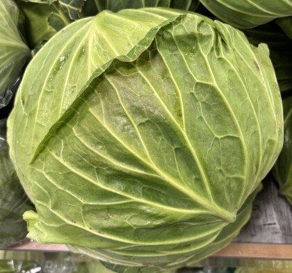 3月14日のおすすめ!群馬県産『キャベツ』