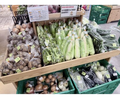 7月5日のおすすめ!古木農園さんの野菜