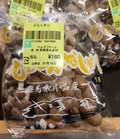 1月18日のおすすめ!きのこ