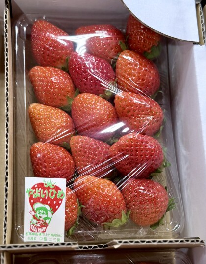 3月26日のおすすめ!いちご『やよいひめ』