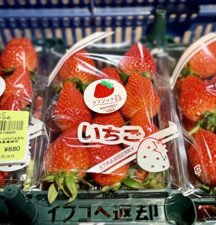 2月26日のおすすめ!クラシックいちご『やよいひめ』🍓