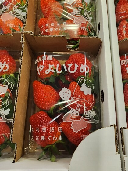 1月10日のおすすめ！いちご『とちおとめ』と『やよいひめ』