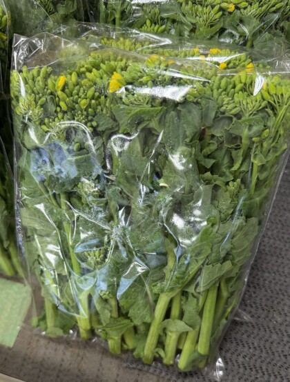 3月5日のおすすめ!横浜市産『菜花』