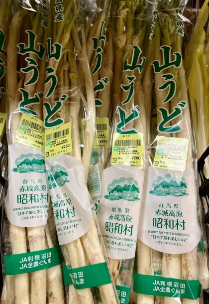 3月4日のおすすめ！春の野菜『雪うるい』と『山うど』