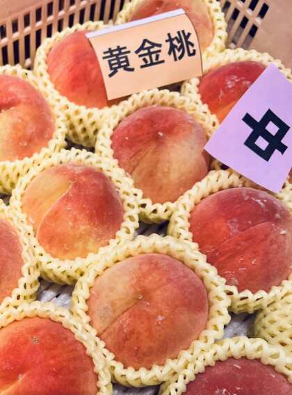 9月13日のおすすめ！山梨県産 『桃（黄金桃）』