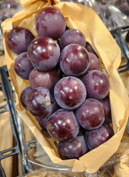 9月3日のおすすめ!ぶどう『藤稔(ふじみのり)』🍇