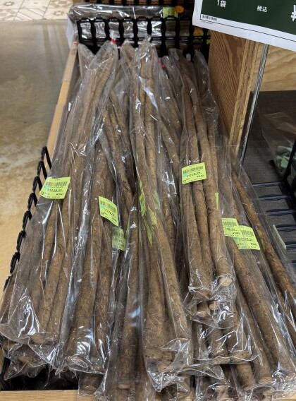 3月16日のおすすめ『ごぼう』