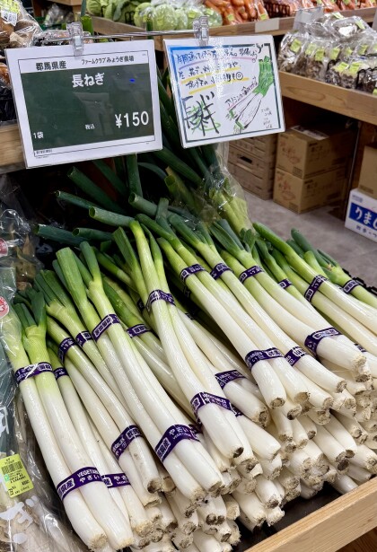 1月25日のおすすめ!自社農園生産『長ねぎ』