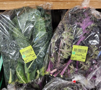 4月2日のおすすめ！折本園『ケール』2種