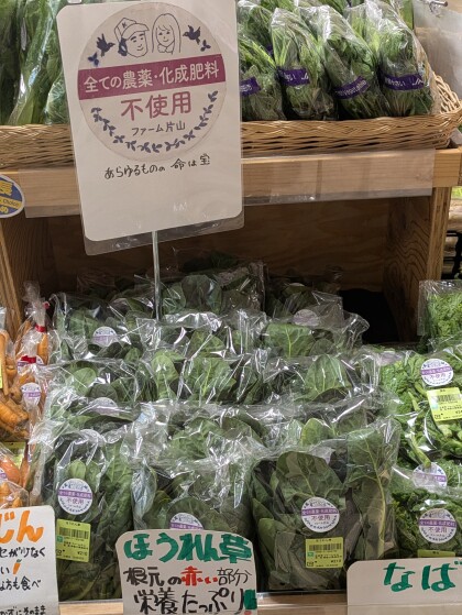 3月3日のおすすめ！ファーム片山さんの『ほうれん草』