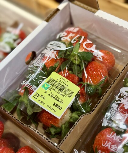 12月24日のおすすめ！クラシックいちご『かおり野』🍓