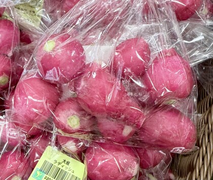 4月28日のおすすめ！はつか大根『ラディッシュ』