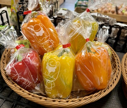 3月17日のおすすめ！『パプリカ』