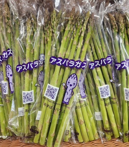 3月27日のおすすめ！群馬県産『アスパラガス』