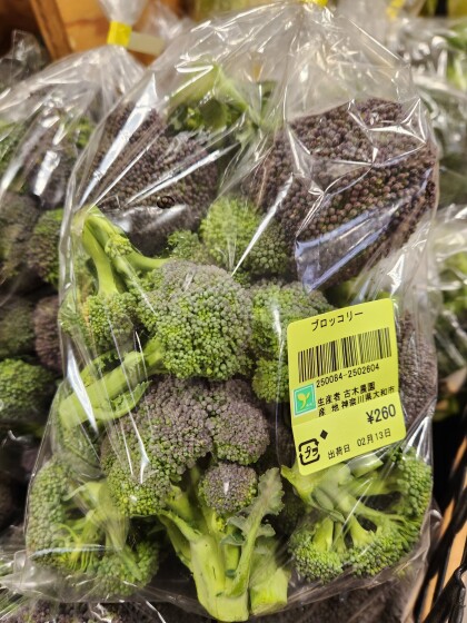 2月13日のおすすめ！古木農園さんの「ブロッコリー」