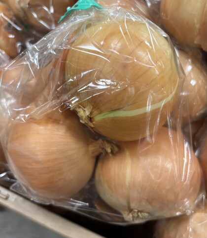 2月9日のおすすめ！北海道産『玉葱』