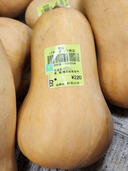 7月27日のおすすめ！埼玉県産 南瓜『バターナッツ南瓜』
