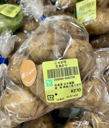 5月14日のおすすめ！古木農園の野菜