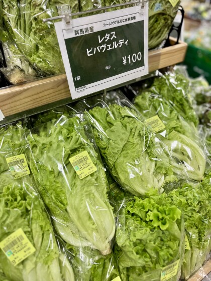 5月10日のおすすめ！自社農園産レタス『ビバヴェルディ』