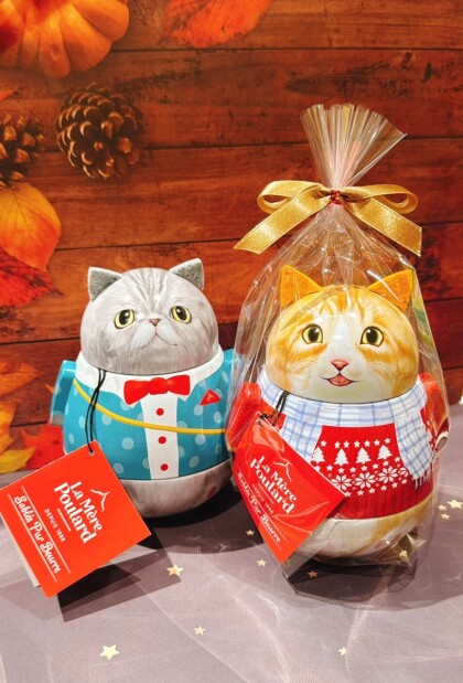 2/22は猫の日 🐈🐾