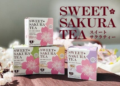 桜の季節がやってきました🌸