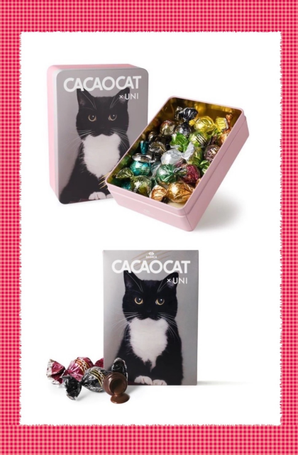 cacaocat UNIくん入荷致しました🐈‍⬛💕 数量限定‼️
