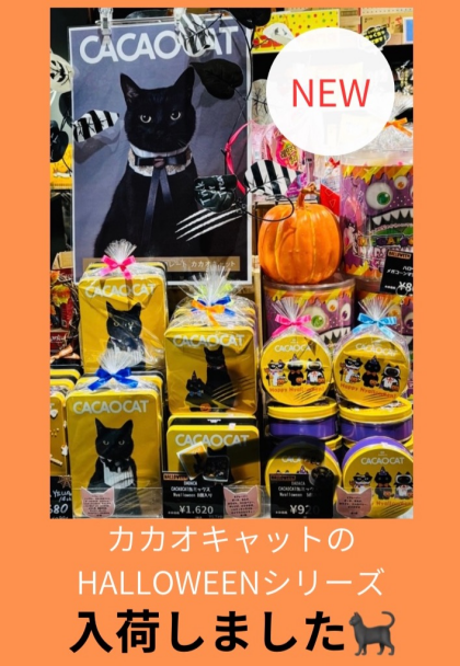 CACAOCAT 期間限定Nyalloween缶入荷しました🐈‍⬛🧡